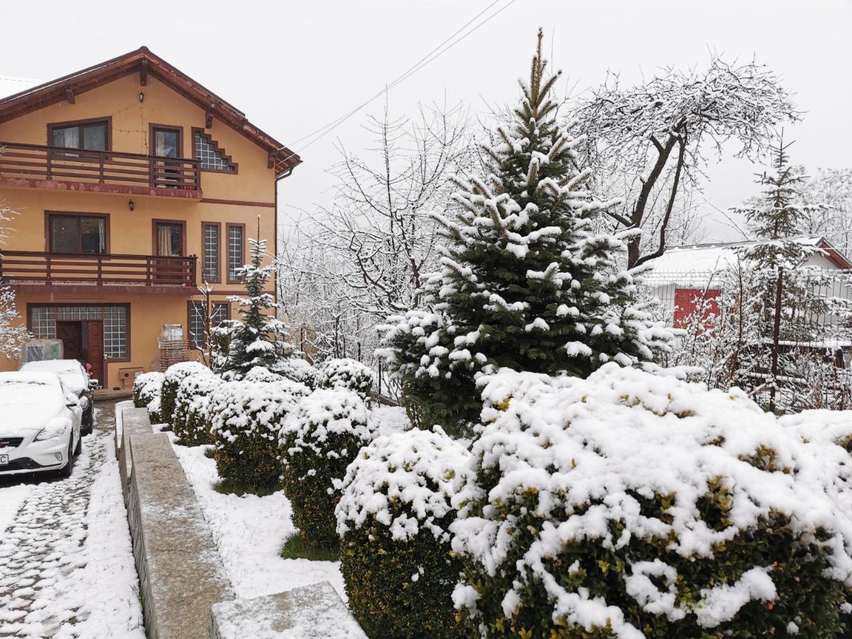 Casa Bunicii Comarnic Hotel Exterior foto