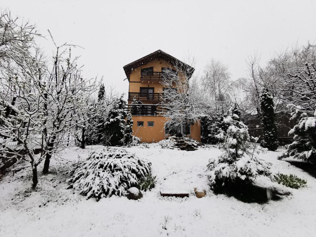 Casa Bunicii Comarnic Hotel Exterior foto